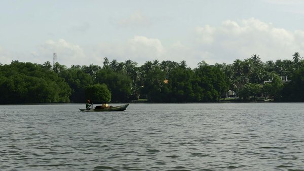 Comment choisir le bon matériel pour cuisiner à la plancha chez soi?